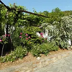 Balkoni